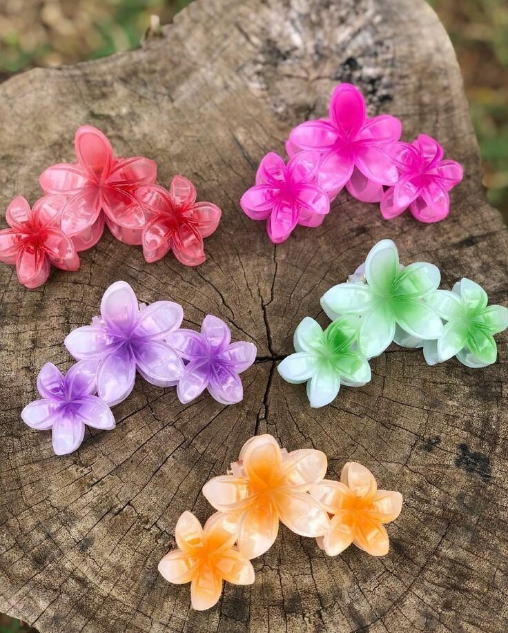 Barrette hawaïenne