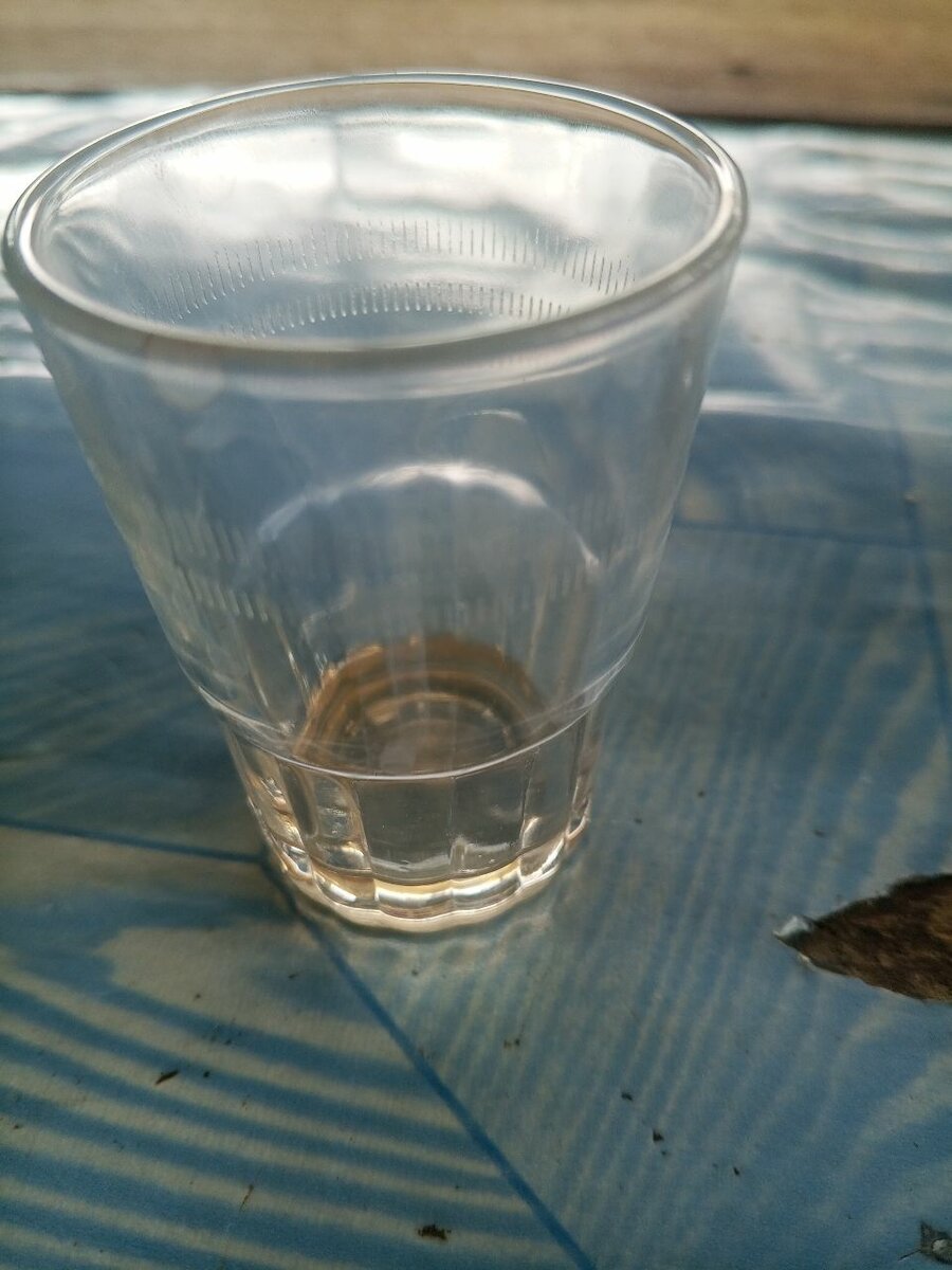 Verre à shot en verre transparent