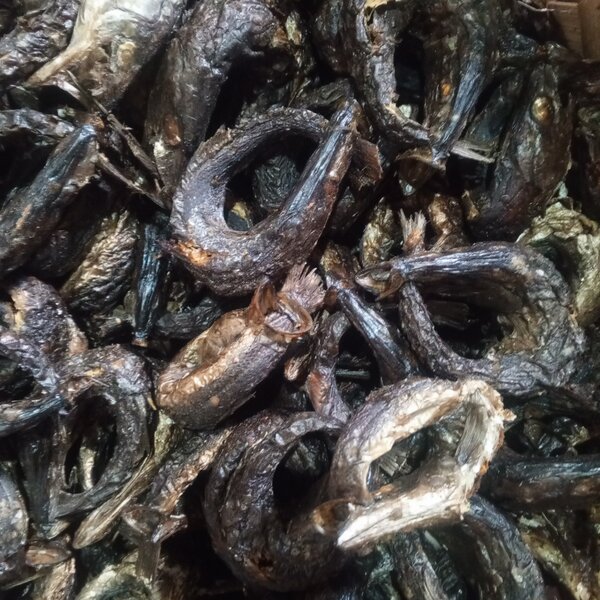 Dry fish