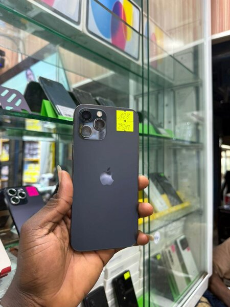 iPhone 12 Pro Max