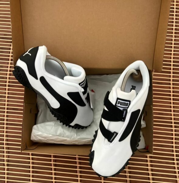 Puma Monstro