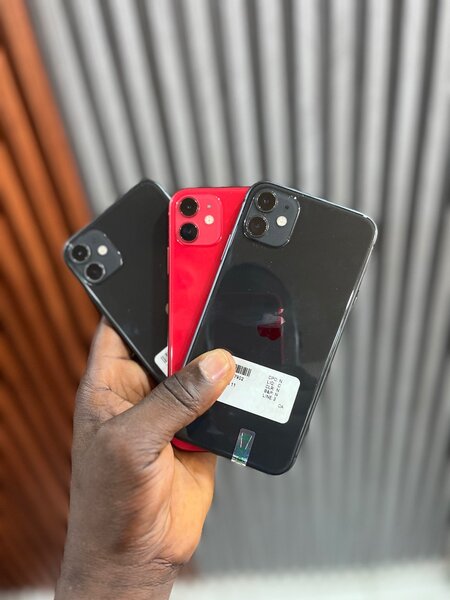 iPhone 11 en plusieurs couleurs