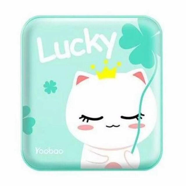Power Banks