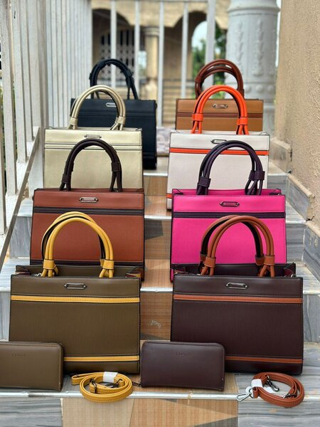 Ladies bag