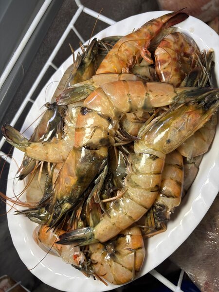 Grosse Gambas