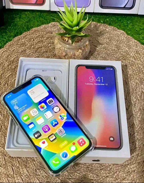 IPHONE X