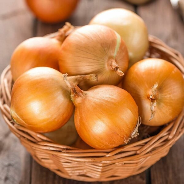 Onion