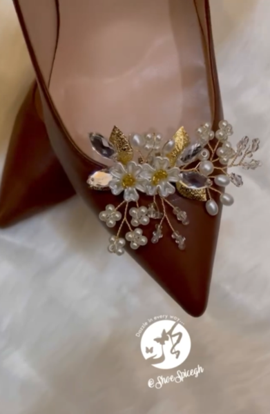 Shoe clips