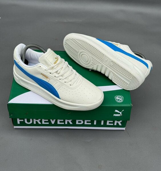 Basket puma