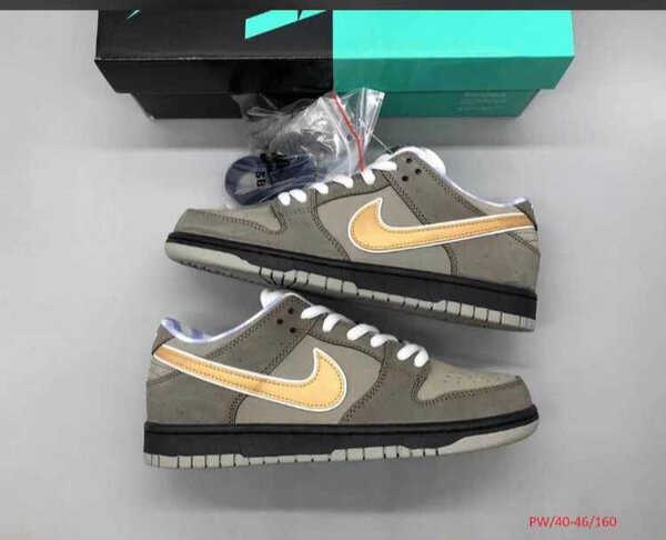 Nike SB sneakers
