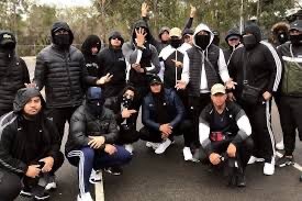 Дрилл шоп 