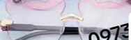 kids sunglasses