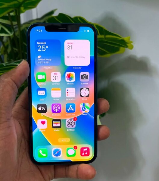Clean iPhone 12
