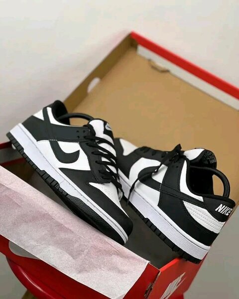 Chaussures Nike SB authentique