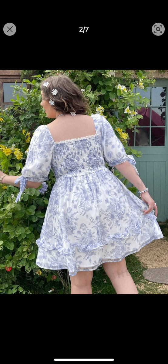 Ladies dress