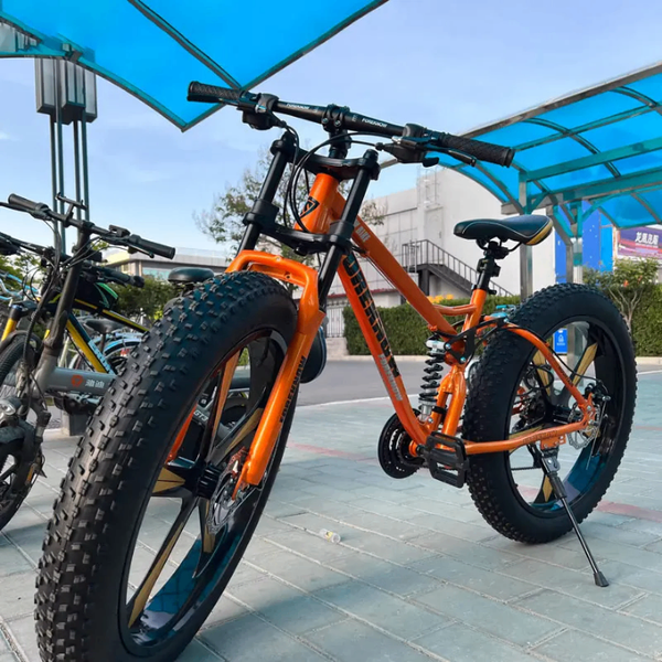 Vélo Fatbike Tout-Terrain