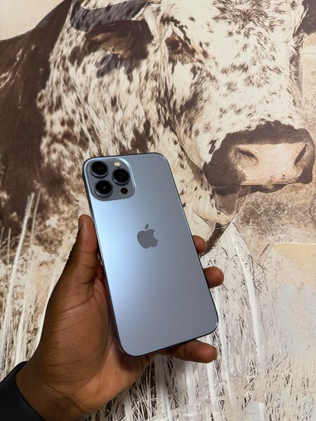 iPhone 13pro max