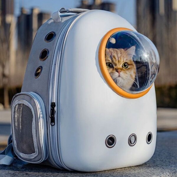 Sac à dos capsule pour chat