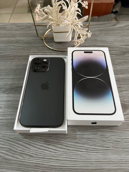 iPhone 14 Pro Max