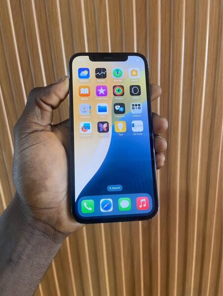 Smartphone 256Go Haut de Gamme