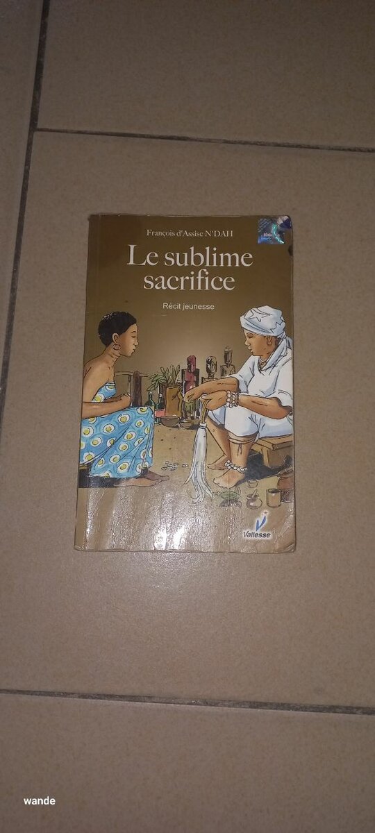 Le Sublime Sacrifice - Roman Captivant