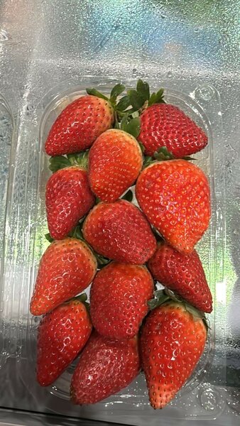 Fraise importé