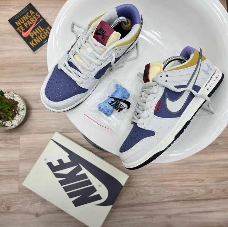 Nike SB sneakers