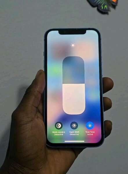 iPhone 13 Bleu 128Go
