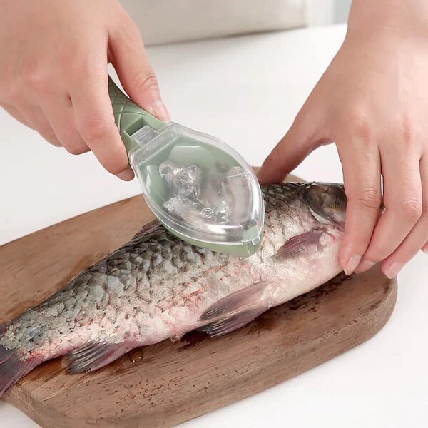 Grattoir manuel pour écailles de poisson