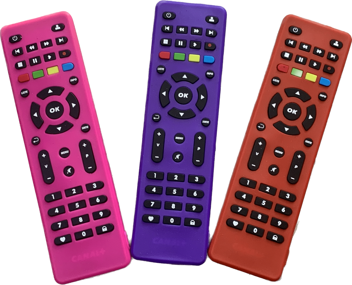 Télécommande canal hd +un étui silicone