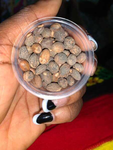 Miracle seed