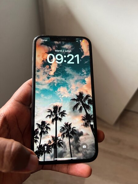 iPhone 12 Pro Max