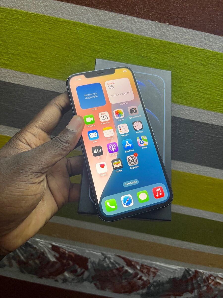 iPhone 12 Pro Max