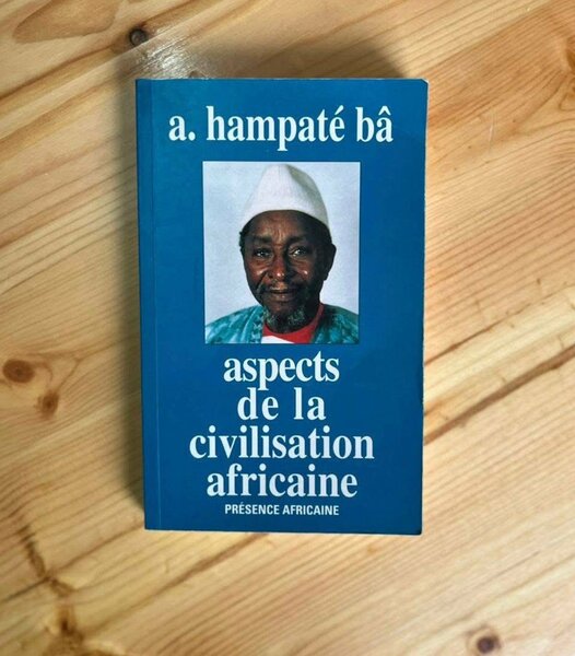 Romans Africains Inspirants