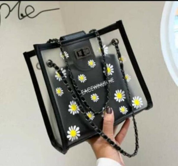 Transparent bag