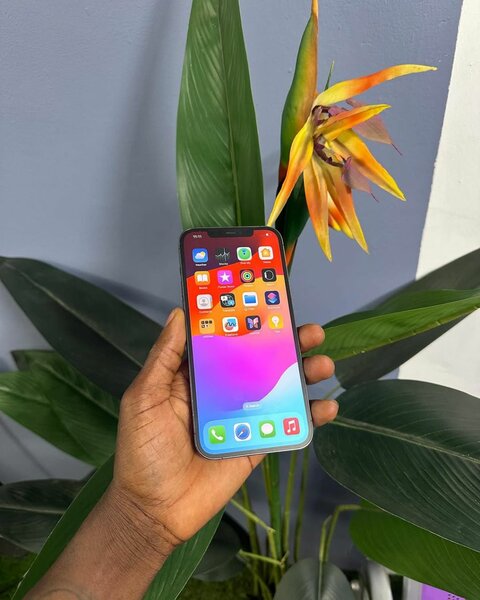Iphone 12pro  Max