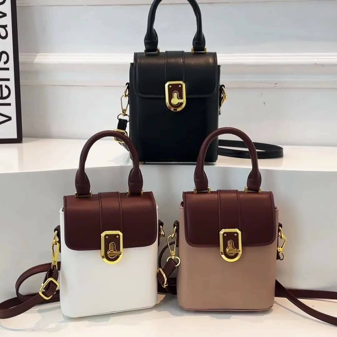 Petit sac a main