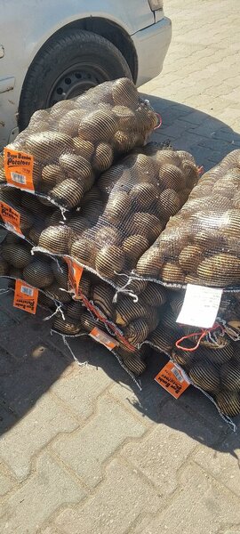 Potatoes