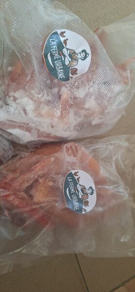 Poulet Coquelet