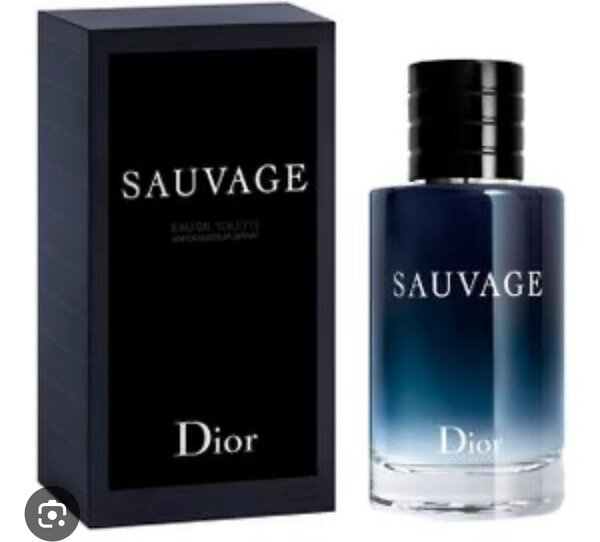 Parfum Sauvage Dior Homme