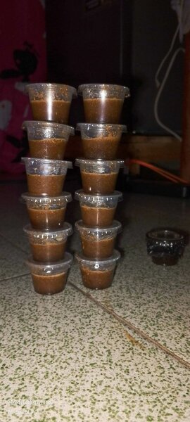 POUTOULOU