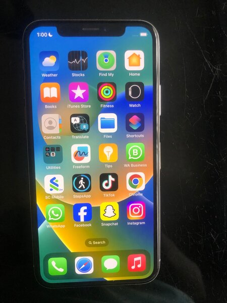 iPhone X