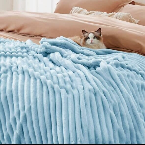 Draps housses