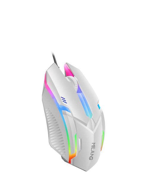 Souris filaire blanche RGB