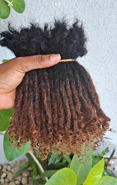 Dread métisse