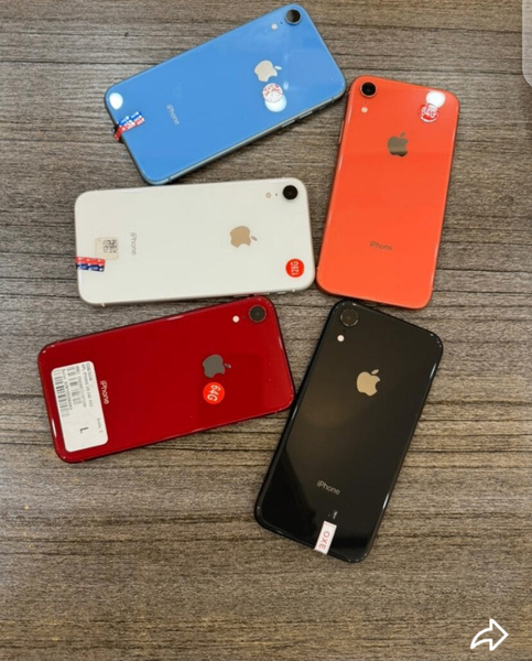 iPhone XR Variétés Multicolores