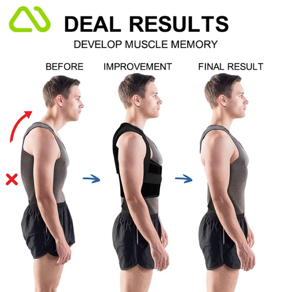 Réducteur Dos