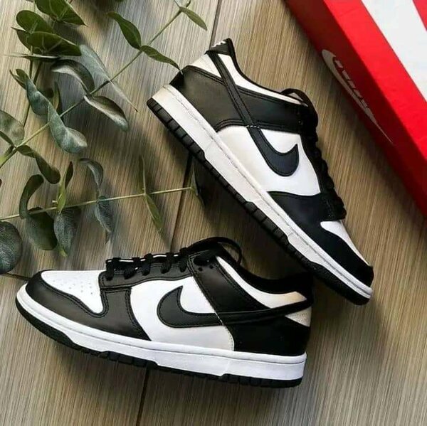 Nike sb Dunk Low