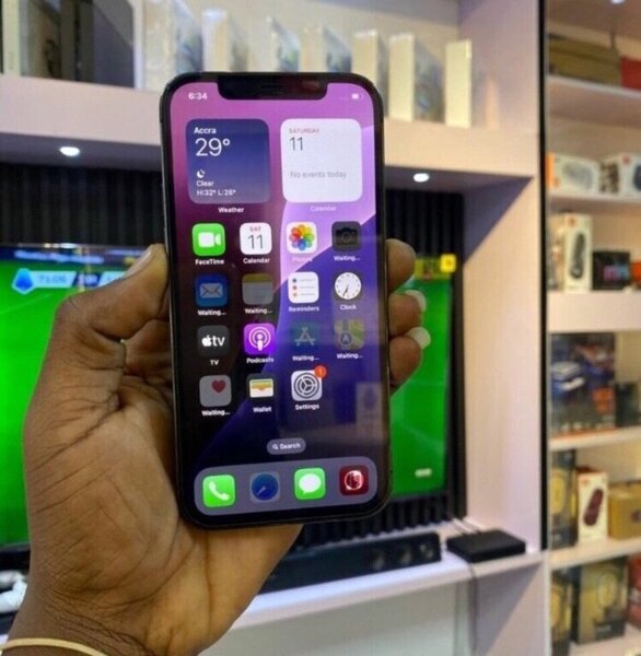iPhone 12 Pro Max