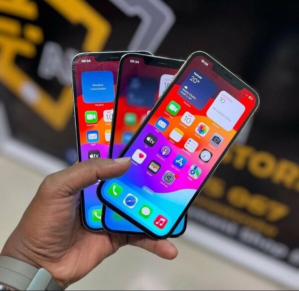 iPhone 13 Pro Max